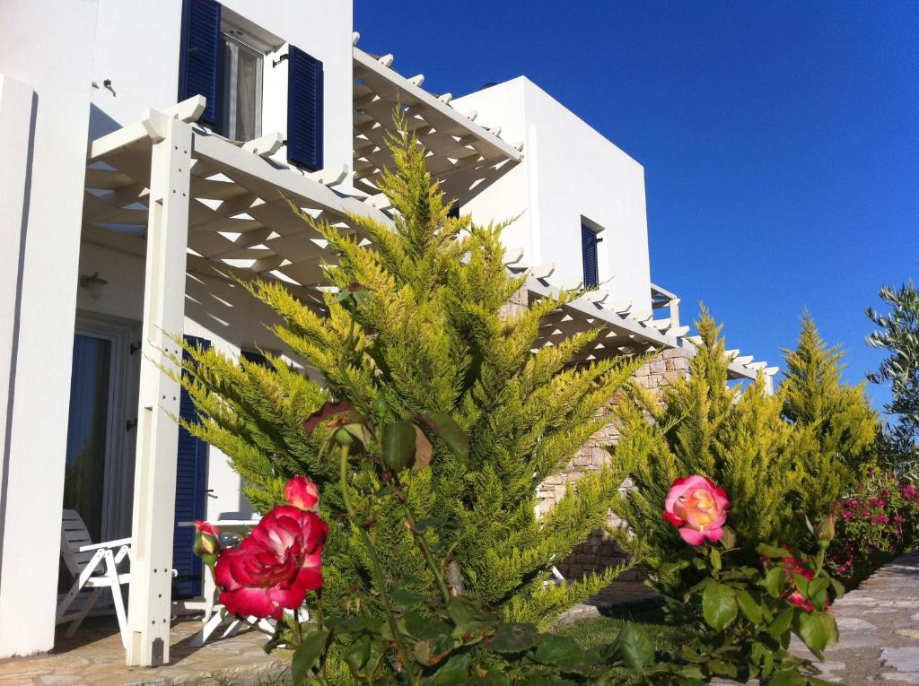 Elea Apartments Kalamos  Chambre photo